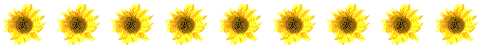 sunflowerbar2.gif